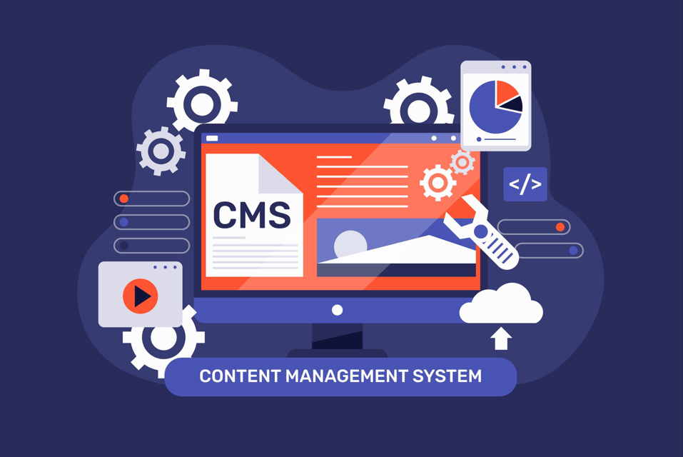 Best WordPress Website Developer (Experts Pick) 2024