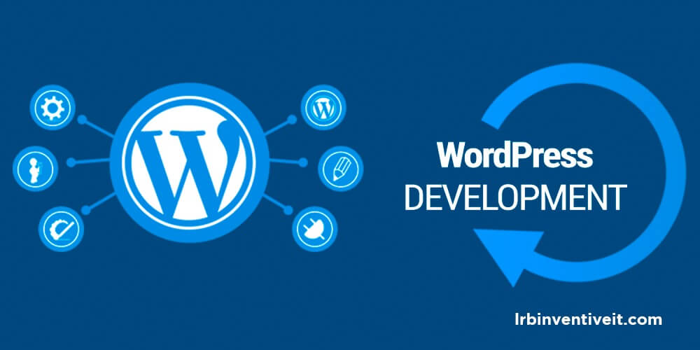 WordPress Developer